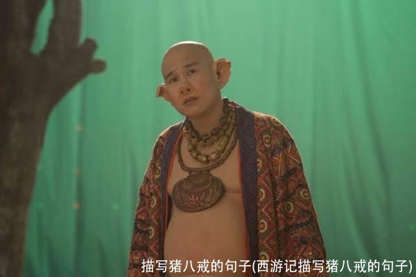 描写猪八戒的句子(西游记描写猪八戒的句子)