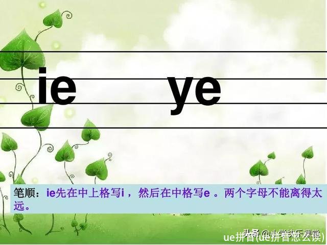ue拼音(ue拼音怎么读)