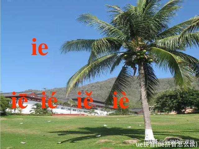 ue拼音(ue拼音怎么读)
