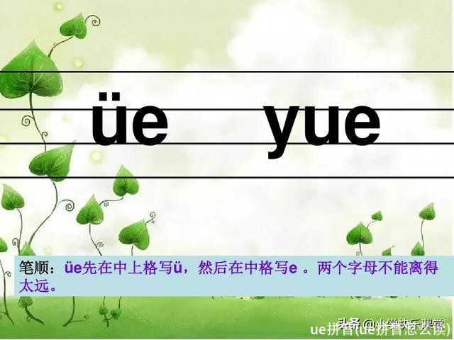 ue拼音(ue拼音怎么读)