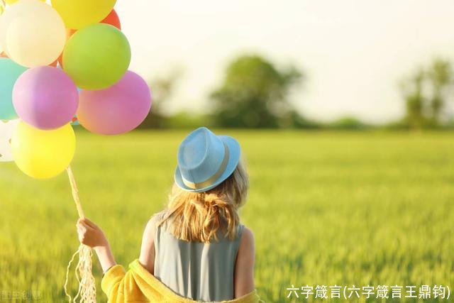 六字箴言(六字箴言王鼎钧)