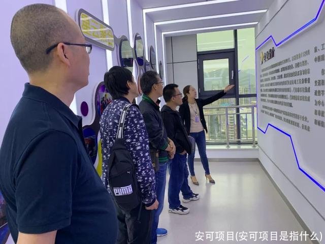 安可项目(安可项目是指什么)