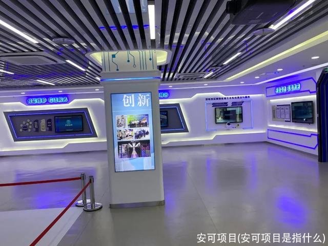 安可项目(安可项目是指什么)