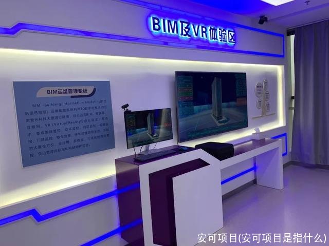 安可项目(安可项目是指什么)