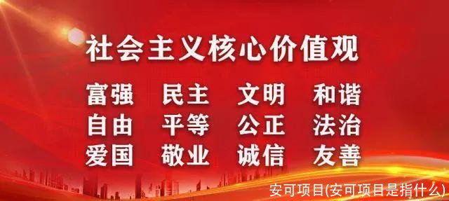 安可项目(安可项目是指什么)