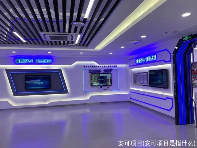 安可项目(安可项目是指什么)