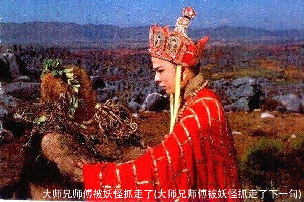大师兄师傅被妖怪抓走了(大师兄师傅被妖怪抓走了下一句)