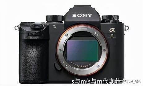 s与m(s与m代表什么意思)