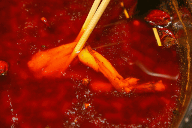 海芽菜(海芽菜功效和作用)