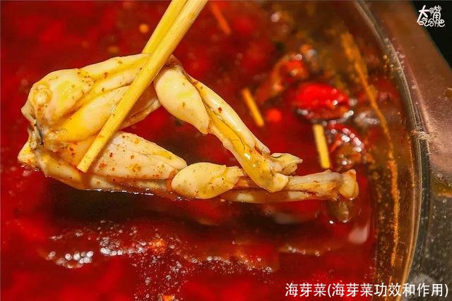 海芽菜(海芽菜功效和作用)