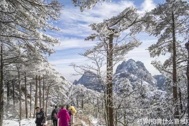 初霁(初霁什么意思)