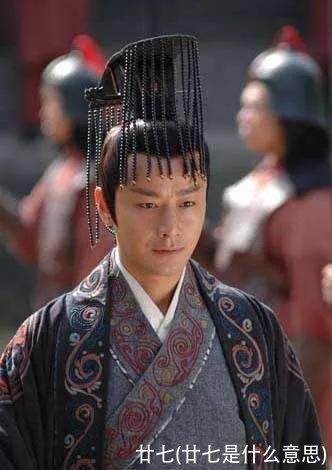 廿七(廿七是什么意思)