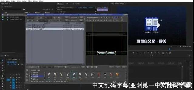 中文乱码字幕(亚洲第一中文乱码字幕)