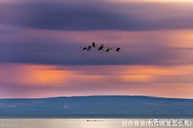 创作背景(创作背景怎么写)