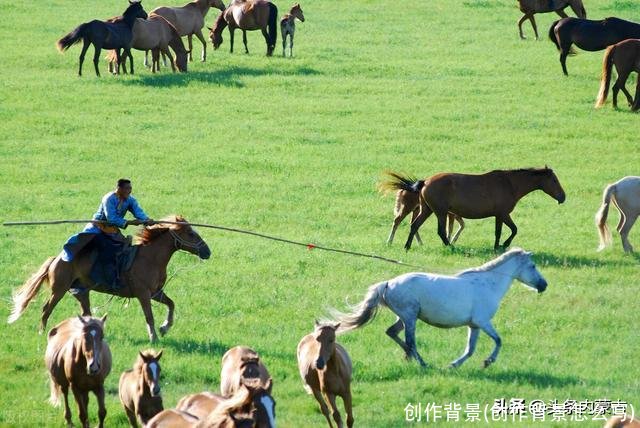 创作背景(创作背景怎么写)