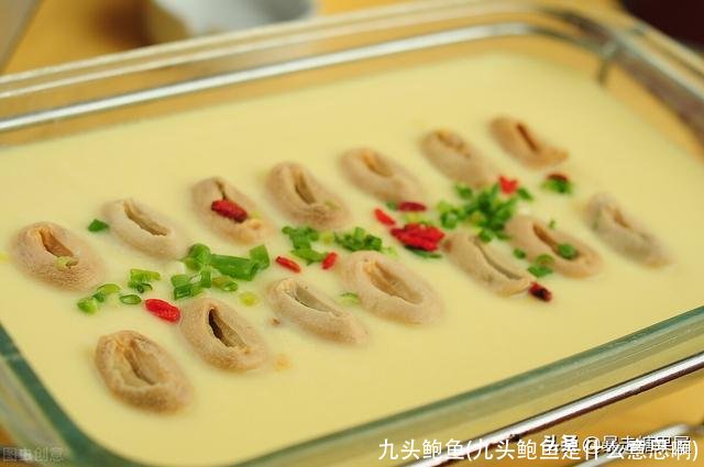 九头鲍鱼(九头鲍鱼是什么意思啊)