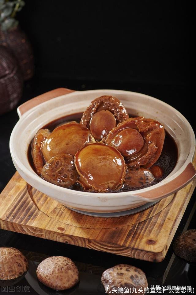 九头鲍鱼(九头鲍鱼是什么意思啊)