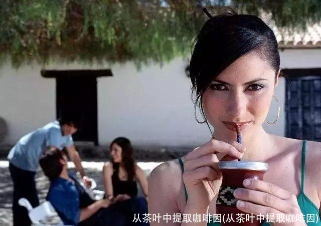 从茶叶中提取咖啡因(从茶叶中提取咖啡因)