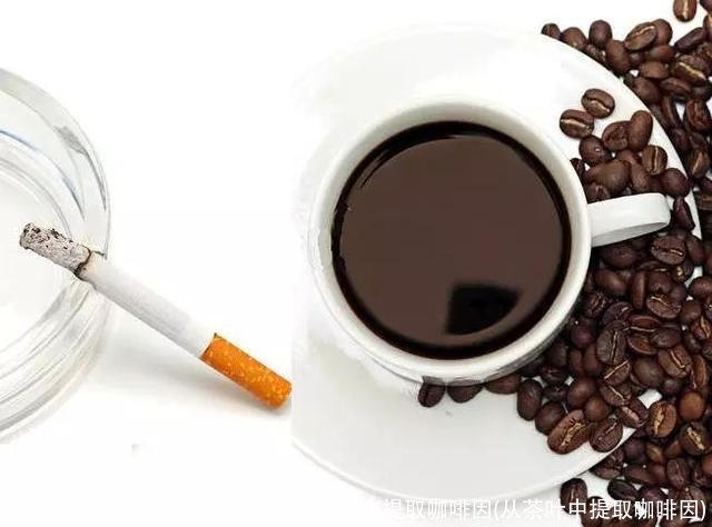 从茶叶中提取咖啡因(从茶叶中提取咖啡因)