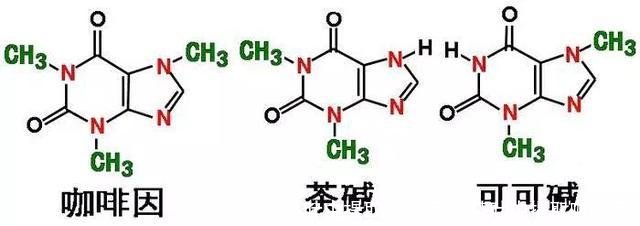 从茶叶中提取咖啡因(从茶叶中提取咖啡因)