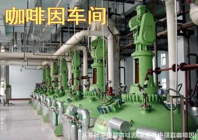 从茶叶中提取咖啡因(从茶叶中提取咖啡因)