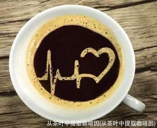 从茶叶中提取咖啡因(从茶叶中提取咖啡因)