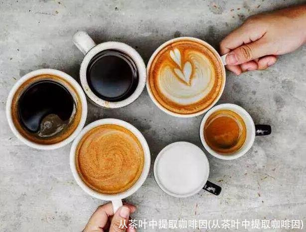 从茶叶中提取咖啡因(从茶叶中提取咖啡因)