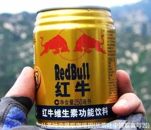 从茶叶中提取咖啡因(从茶叶中提取咖啡因)