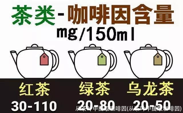 从茶叶中提取咖啡因(从茶叶中提取咖啡因)