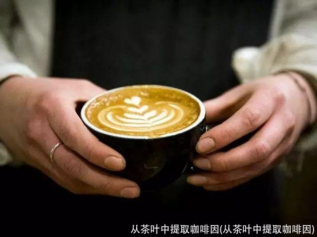 从茶叶中提取咖啡因(从茶叶中提取咖啡因)