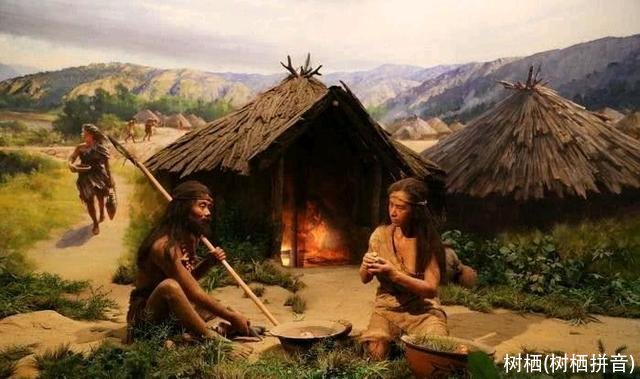 树栖(树栖拼音)