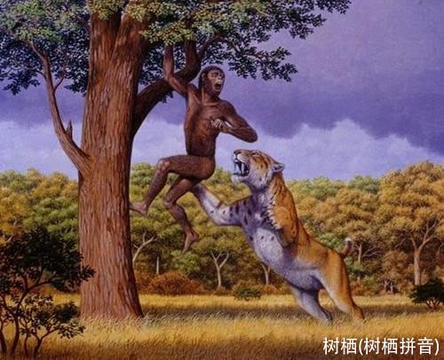 树栖(树栖拼音)