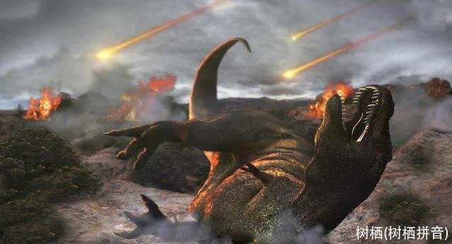 树栖(树栖拼音)