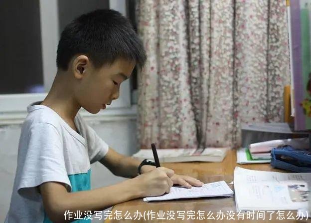 作业没写完怎么办(作业没写完怎么办没有时间了怎么办)