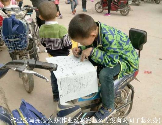 作业没写完怎么办(作业没写完怎么办没有时间了怎么办)