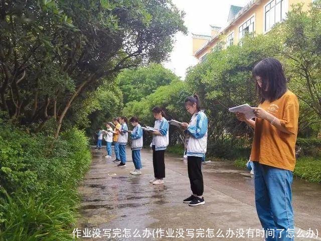 作业没写完怎么办(作业没写完怎么办没有时间了怎么办)