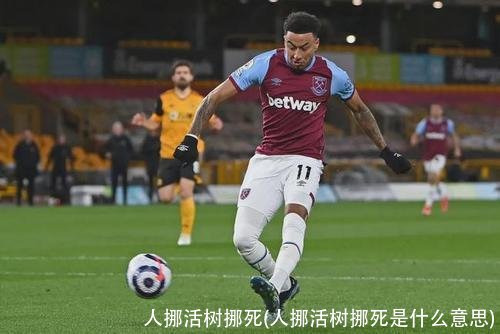 人挪活树挪死(人挪活树挪死是什么意思)