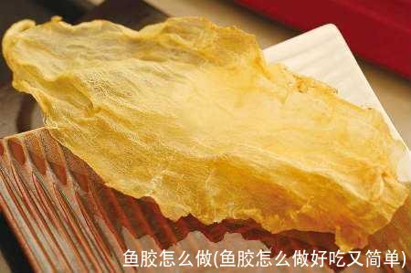 鱼胶怎么做(鱼胶怎么做好吃又简单)