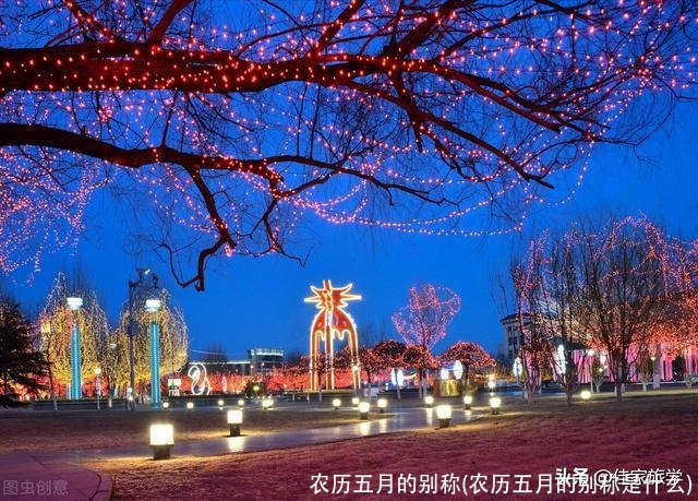 农历五月的别称(农历五月的别称是什么)