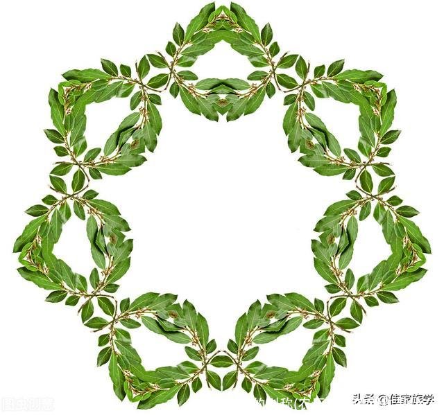 农历五月的别称(农历五月的别称是什么)