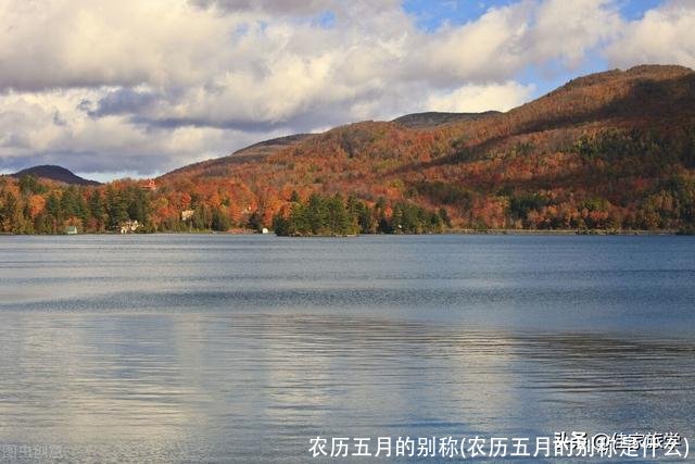 农历五月的别称(农历五月的别称是什么)