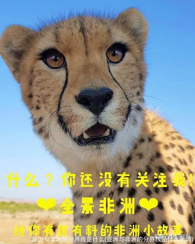 亚洲与非洲的分界线是什么(亚洲与非洲的分界线是什么运河)