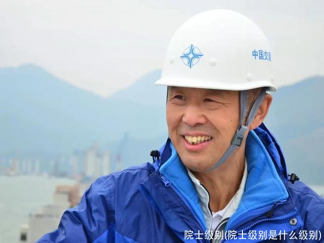 院士级别(院士级别是什么级别)