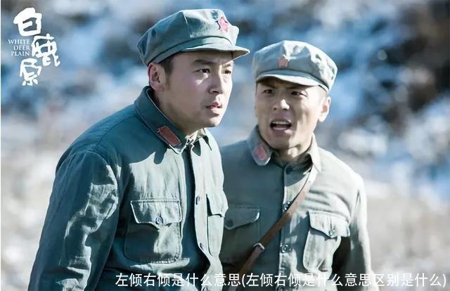 左倾右倾是什么意思(左倾右倾是什么意思区别是什么)