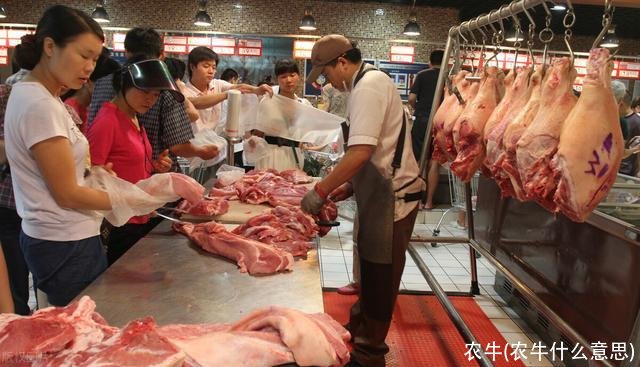 农牛(农牛什么意思)