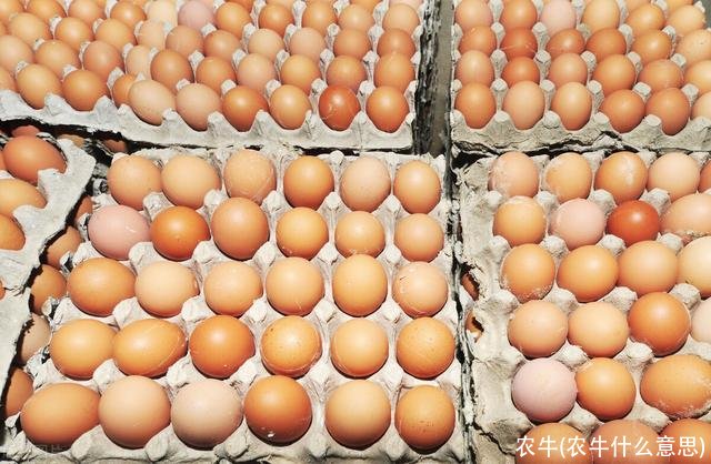 农牛(农牛什么意思)