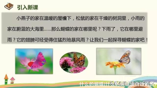 什么的蝴蝶(什么的蝴蝶填合适的词)