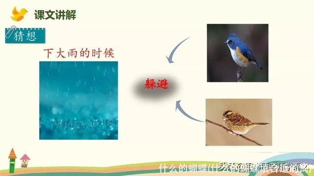 什么的蝴蝶(什么的蝴蝶填合适的词)