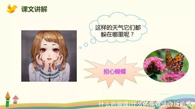 什么的蝴蝶(什么的蝴蝶填合适的词)