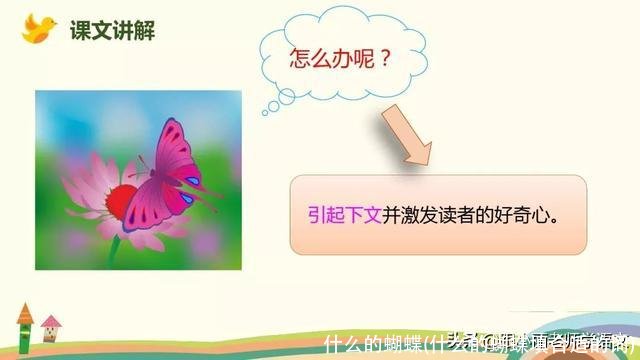 什么的蝴蝶(什么的蝴蝶填合适的词)